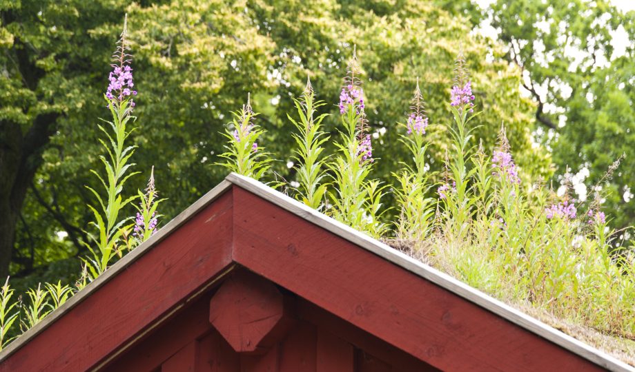 Energy efficiency mortgage Energy efficiency mortgage