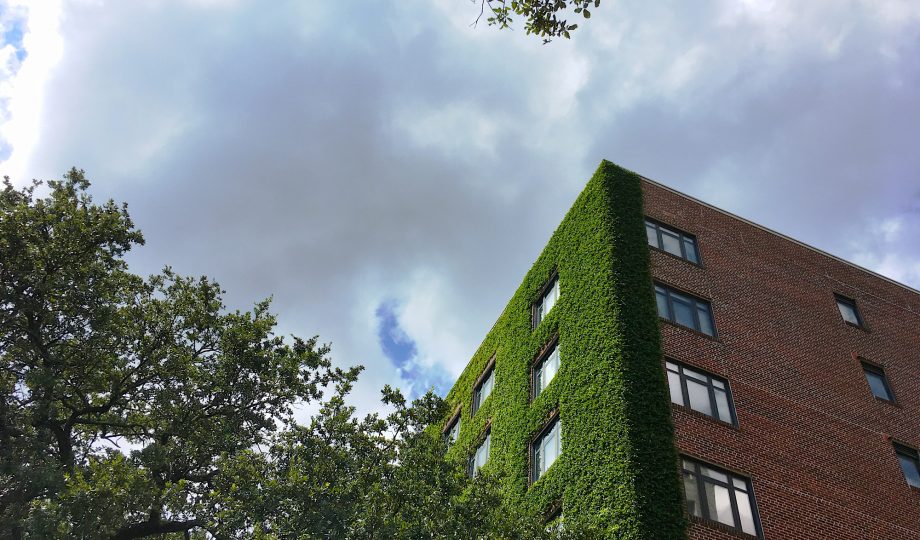 Bioregional blog UN Sustainable Development Goals SDGs Bioregional blog UN Sustainable Development Goals SDGs