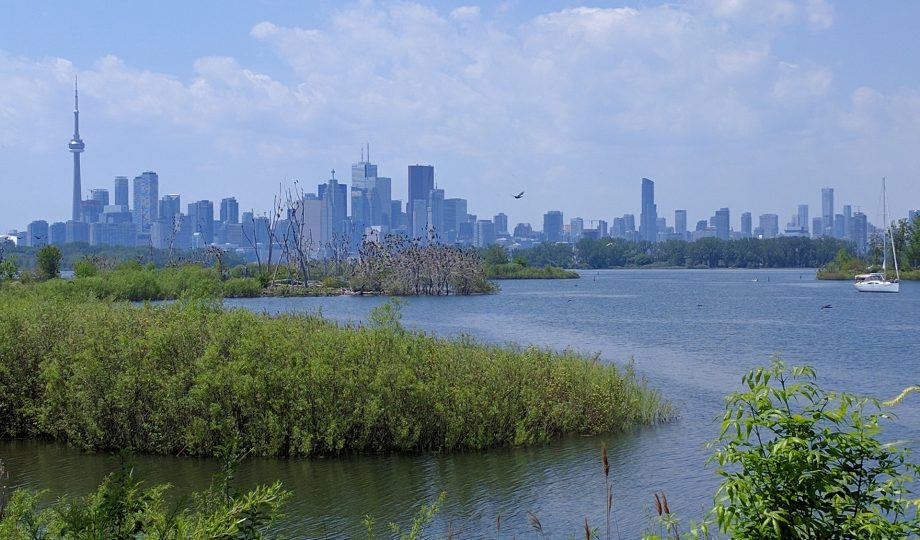 World Green Building Council launches Net Zero Carbon Buildings Commitment Toronto World Green Building Council launches Net Zero Carbon Buildings Commitment Toronto