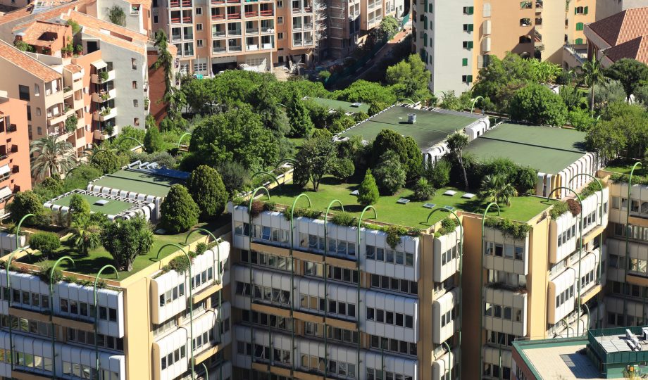 Monte Carlo city roofs climate resilience