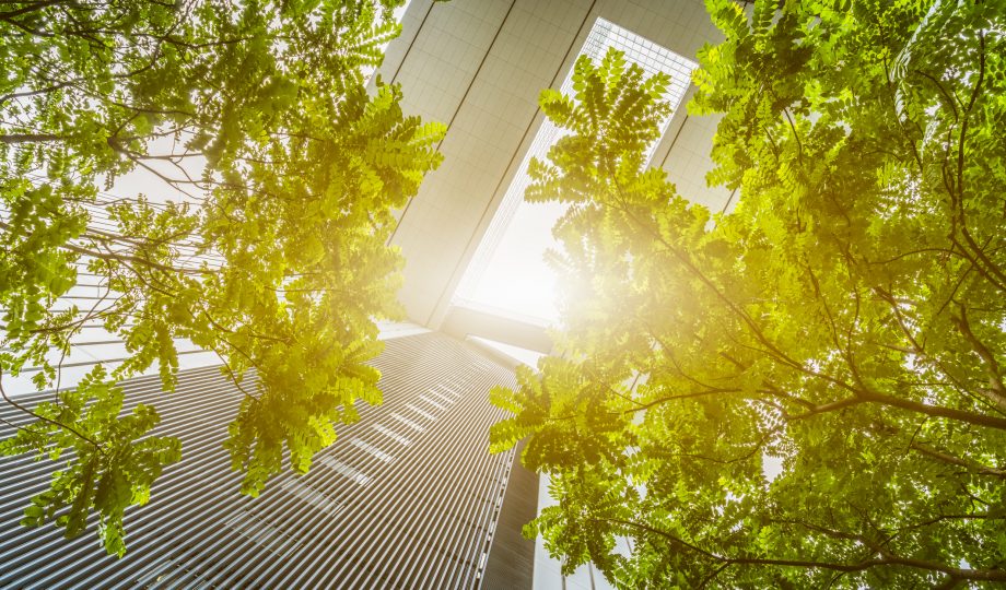 portion of trees against office buildings net zero emissions carbon neutral building low emissions - represent Whole life thinking in development