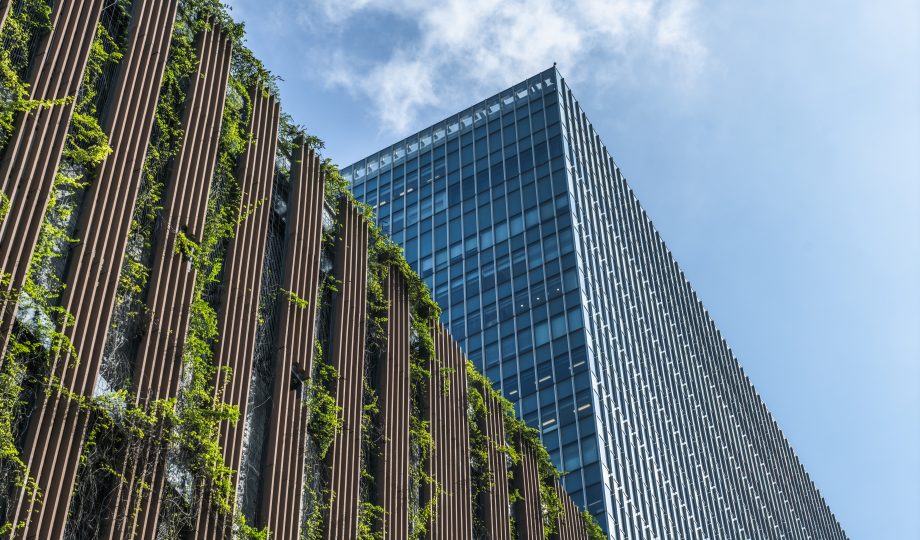 building,green building,green