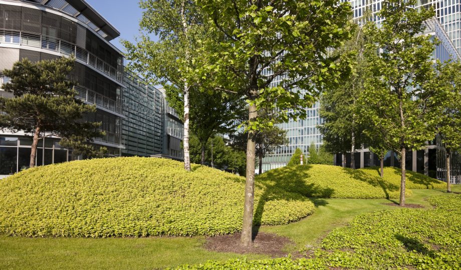 Recreation Zone in Front of Modern Glass Office Building Recreation Zone in Front of Modern Glass Office Building