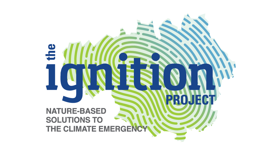 TheIgnitionProject_Logo DC TheIgnitionProject_Logo DC
