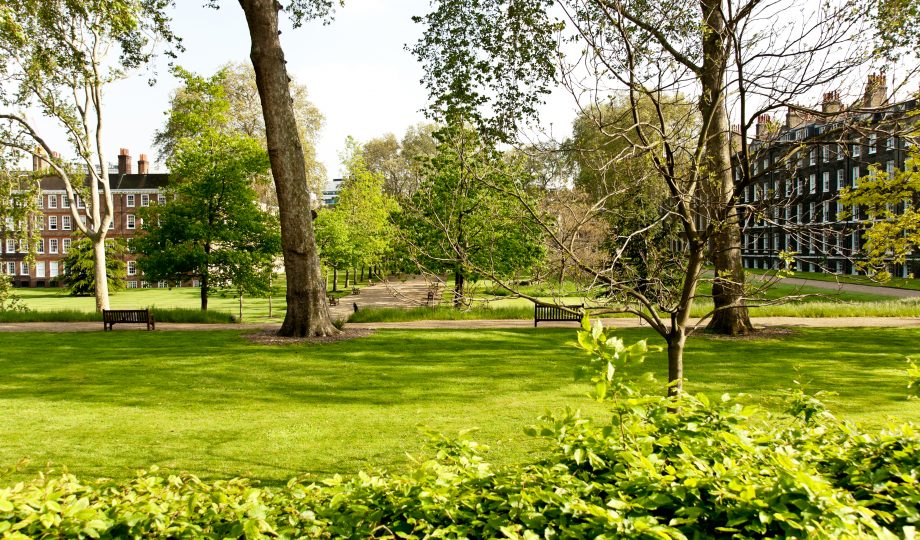 london architecture: luscious park in warm summer afternoon london architecture: luscious park in warm summer afternoon