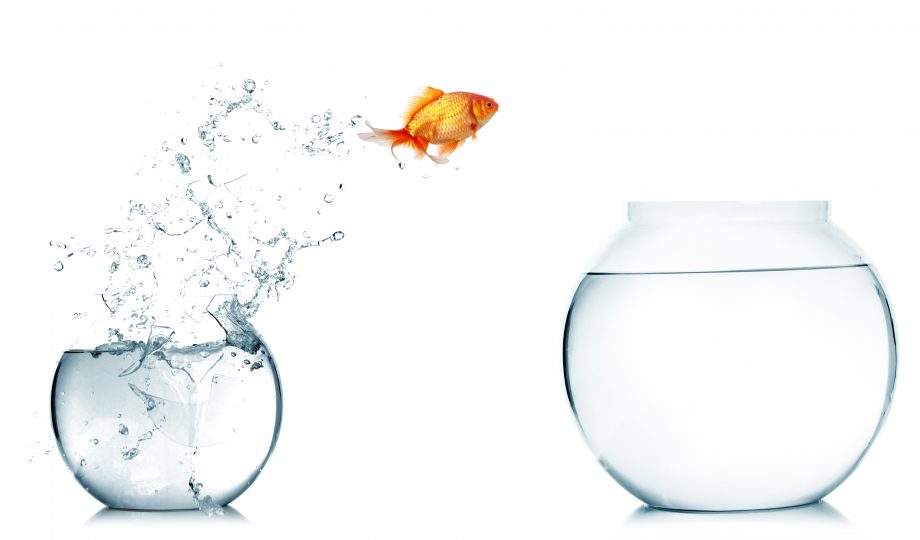 Goldfish jumping out of the fishbowl Goldfish jumping out of the fishbowl